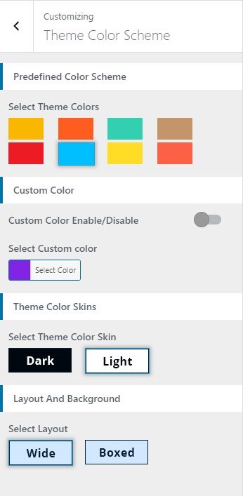 Designexo Pro Theme Color Scheme